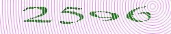 CAPTCHA code image
